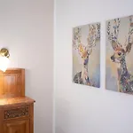 La Collina Dei Conigli - Immersi Nella Natura Apartment *