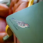 La Collina Dei Conigli - Immersi Nella Natura Apartman Montebabbio