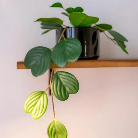 Lägenhet La Collina Dei Conigli - Immersi Nella Natura *