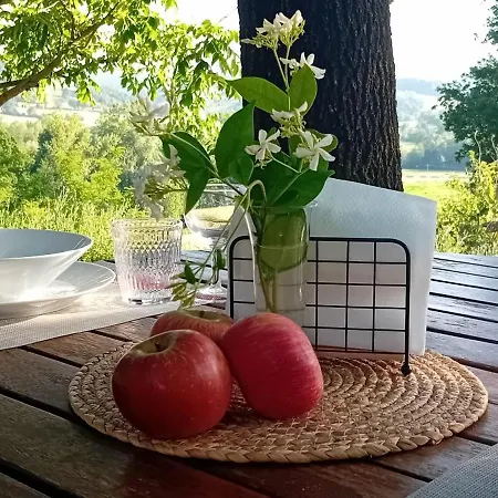 La Collina Dei Conigli 2 - Immersi Nella Natura Montebabbio