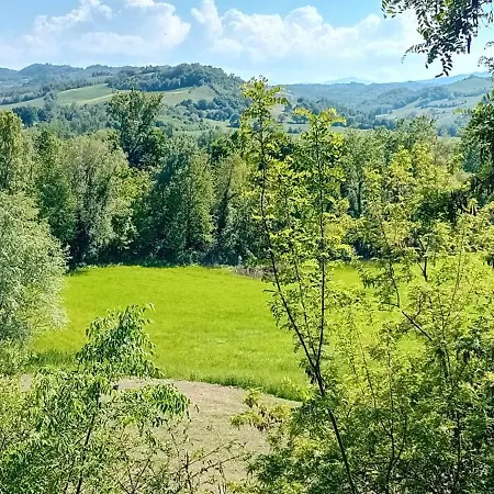 La Collina Dei Conigli 2 - Immersi Nella Natura Montebabbio