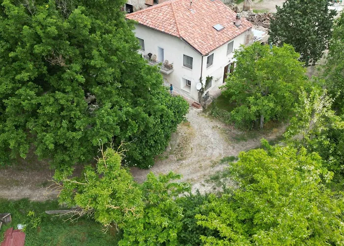 La Collina Dei Conigli - Immersi Nella Natura *