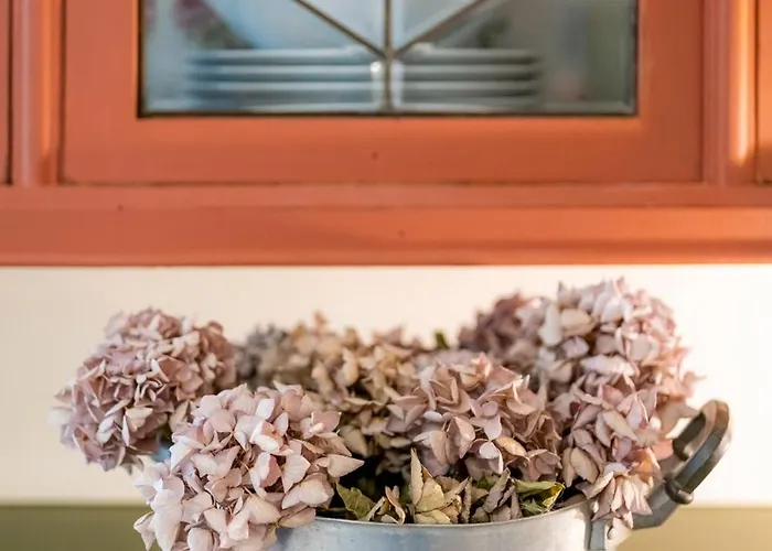 La Collina Dei Conigli - Immersi Nella Natura Lägenhet