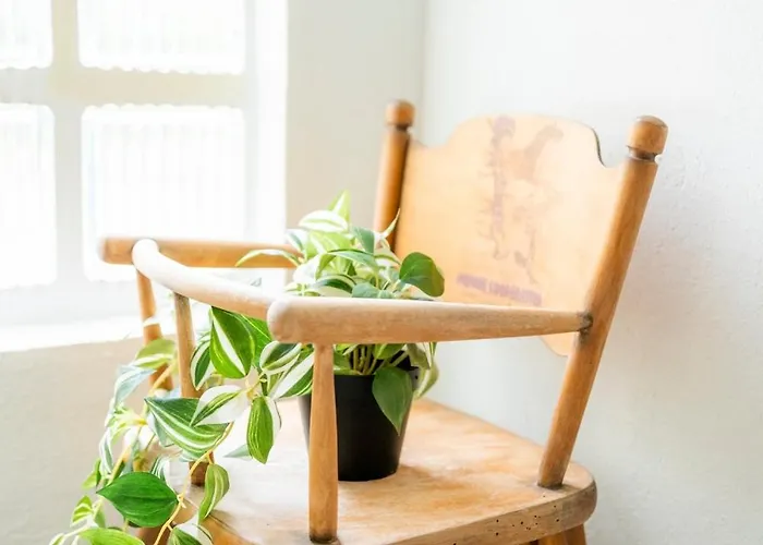 La Collina Dei Conigli - Immersi Nella Natura * Montebabbio