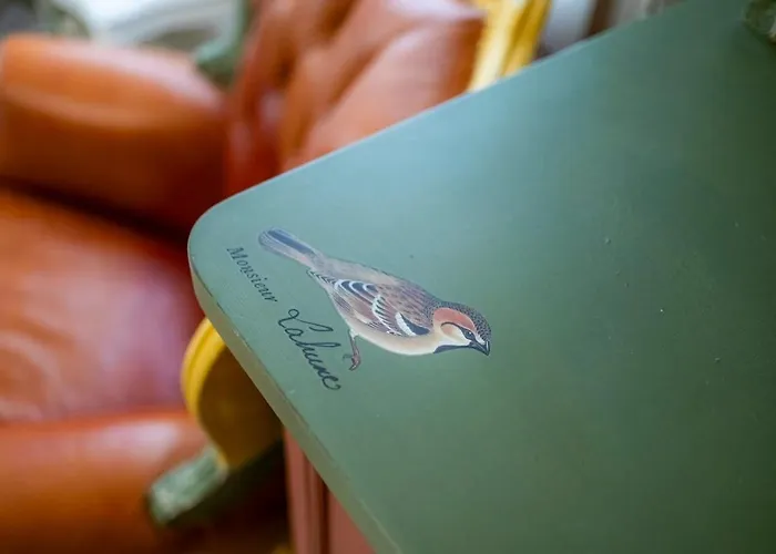 La Collina Dei Conigli - Immersi Nella Natura アパート Montebabbio