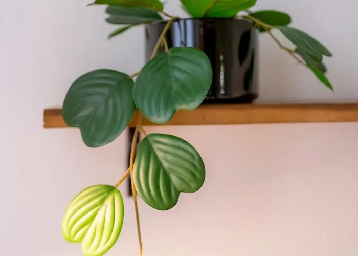 Lägenhet La Collina Dei Conigli - Immersi Nella Natura *